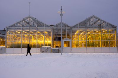 Greenhouse Installation