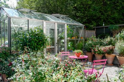 Specialized Greenhouse Suppliers