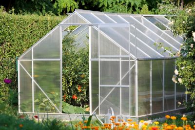 Increased Plant Variety